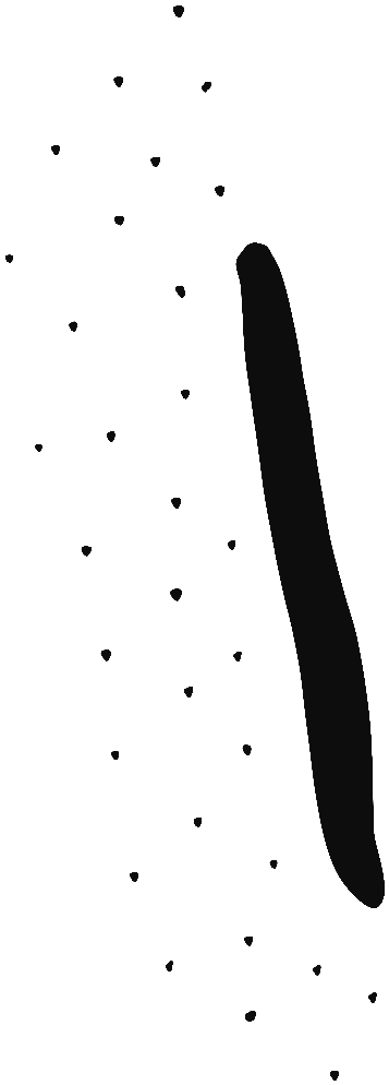Image of the occurrence